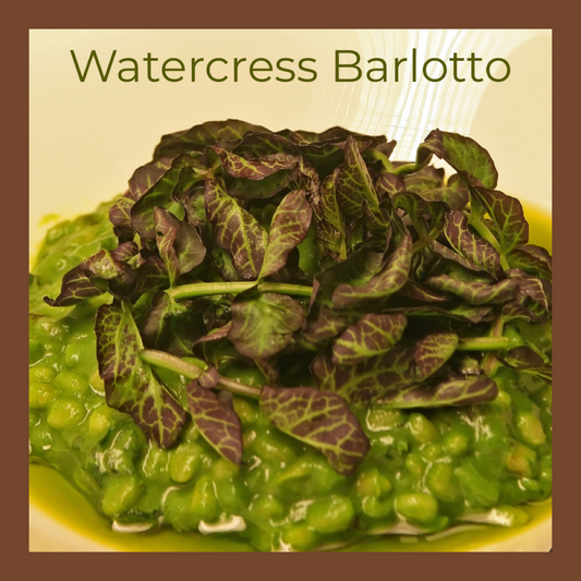 Watercress Barlotto